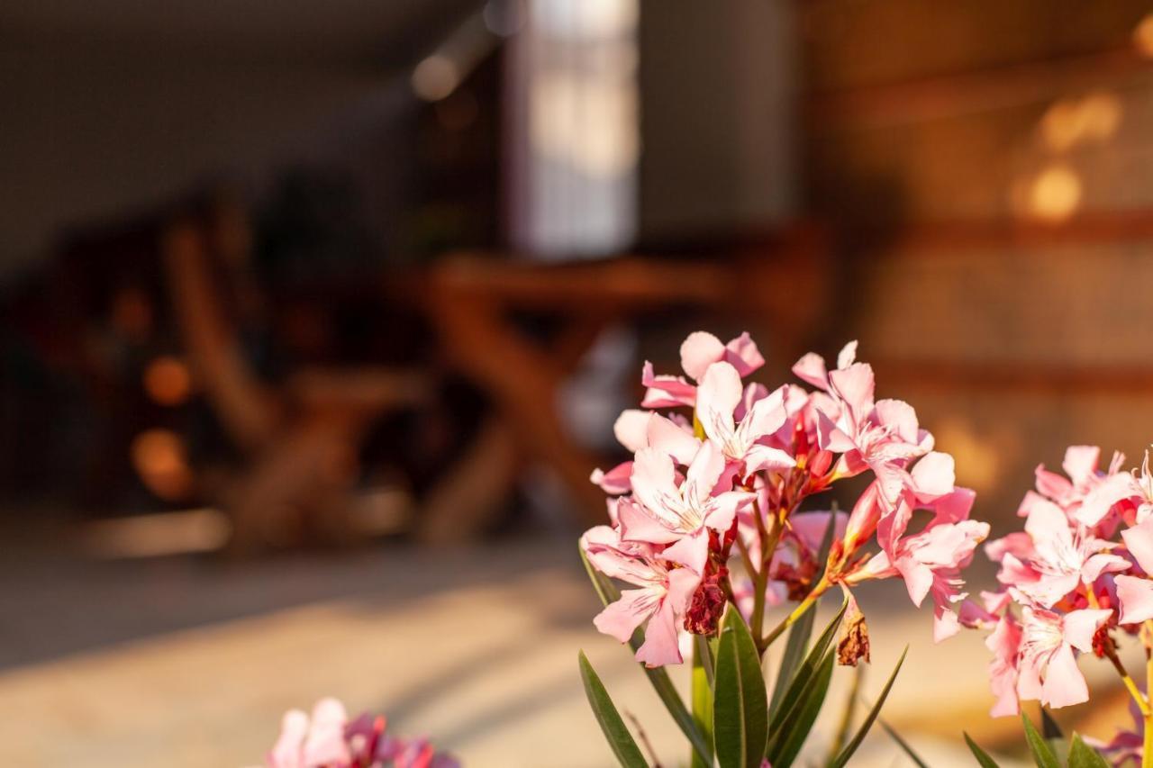 Apartman Tanja Fažana Esterno foto